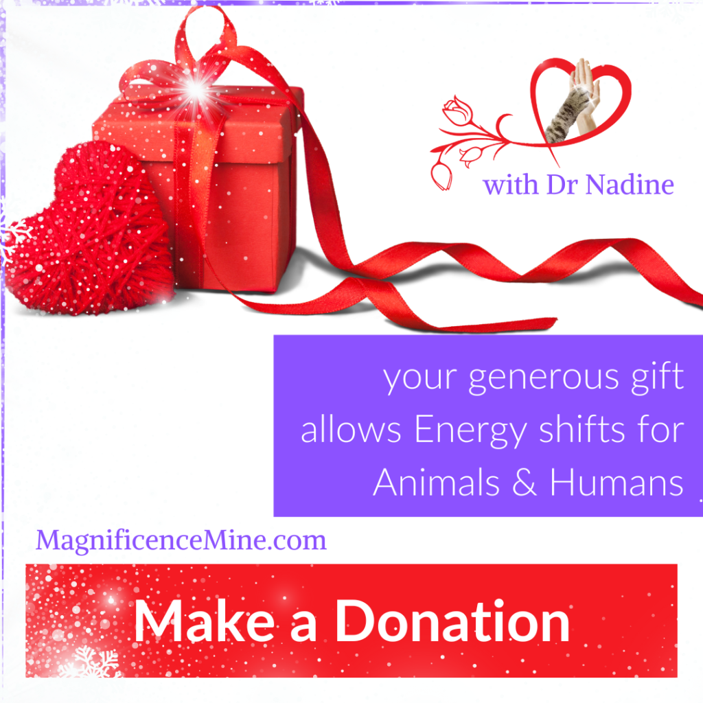 Gifts of LOVE (donations)