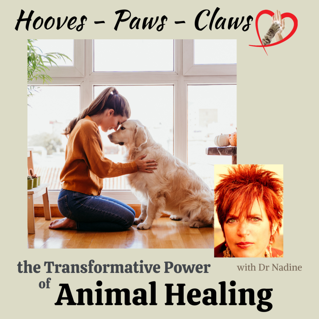 Hooves Paws Claws Webinar
