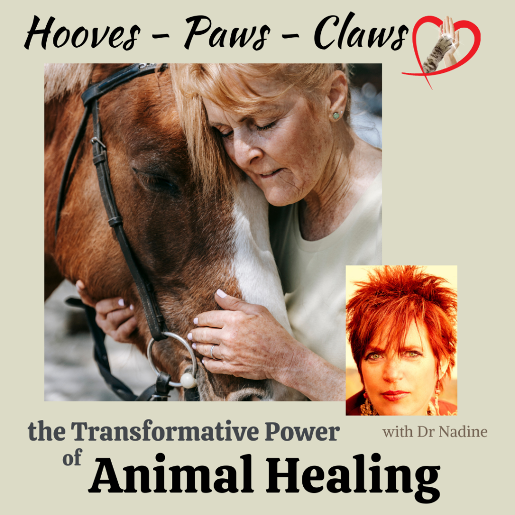 Hooves-Paws-Claws: the Transformative Power of Animal Healing 