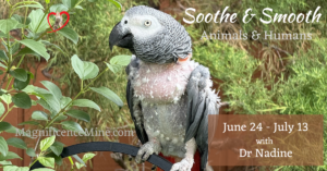 SOOTHE & SMOOTH container Jun 24-Jul13